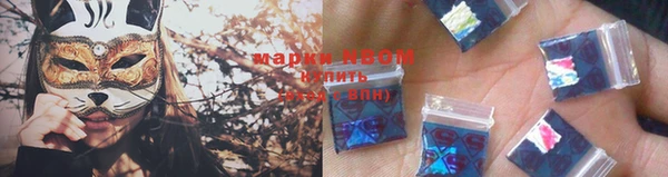 прущие грибы Дмитриев