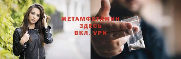 прущие грибы Дмитриев