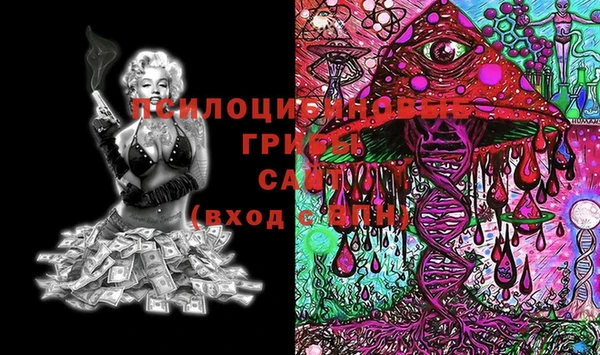 MDMA Premium VHQ Дмитров
