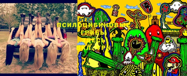 прущая мука Дмитровск