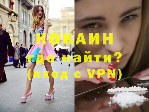 прущие грибы Дмитриев