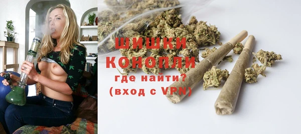 прущие грибы Дмитриев