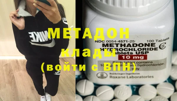 прущие грибы Дмитриев