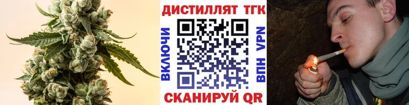 Купить где  Злынка  ТГК концентрат 
