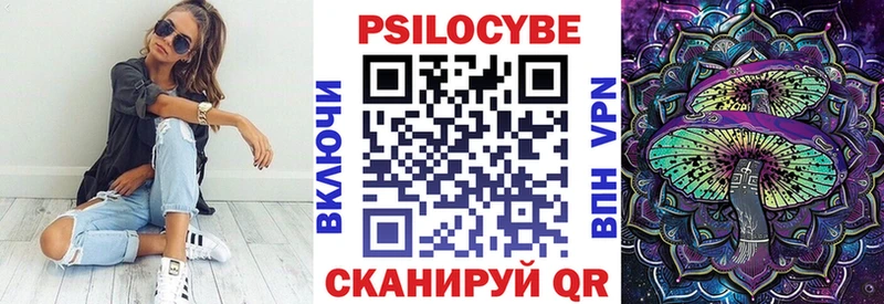 Купить закладки  Злынка  Галлюциногенные грибы GOLDEN TEACHER 